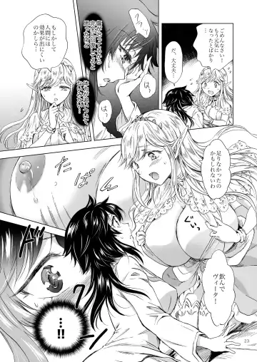 [Mira] Seinaru Chichi no Elf Hime Fhentai - Page 23