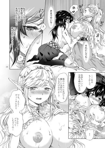 [Mira] Seinaru Chichi no Elf Hime Fhentai - Page 28
