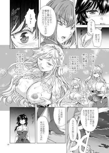 [Mira] Seinaru Chichi no Elf Hime Fhentai - Page 38