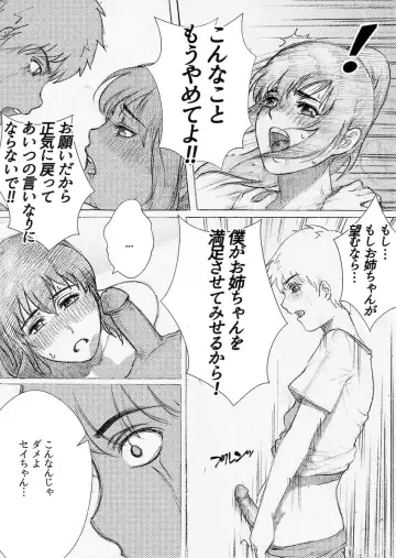 [Rannero] Boku no Onee-chan ga Konna ni Bitch na Hazu ga Nai Fhentai - Page 24