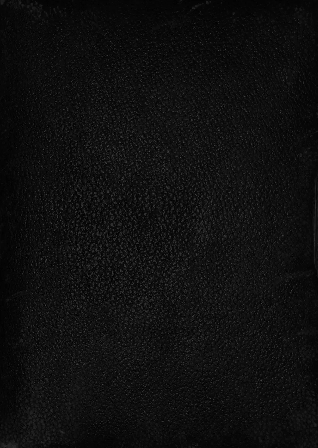 [Tachibana Omina] Isekai Harem Monogatari - Tales of Harem 4~4.5 Fhentai - Page 55