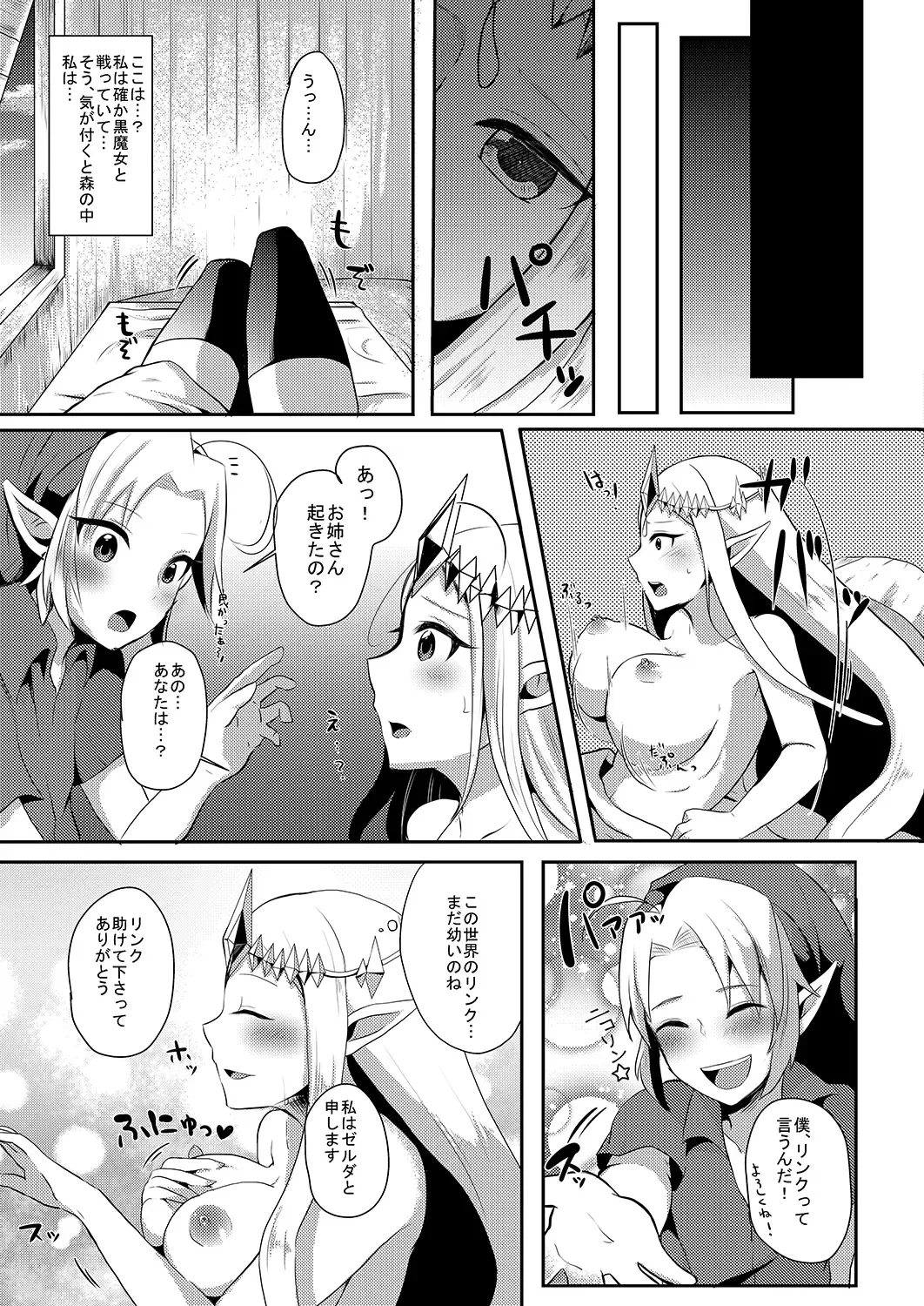 [Runrun] Futanari Zelda Soushuuhen Fhentai - Page 16
