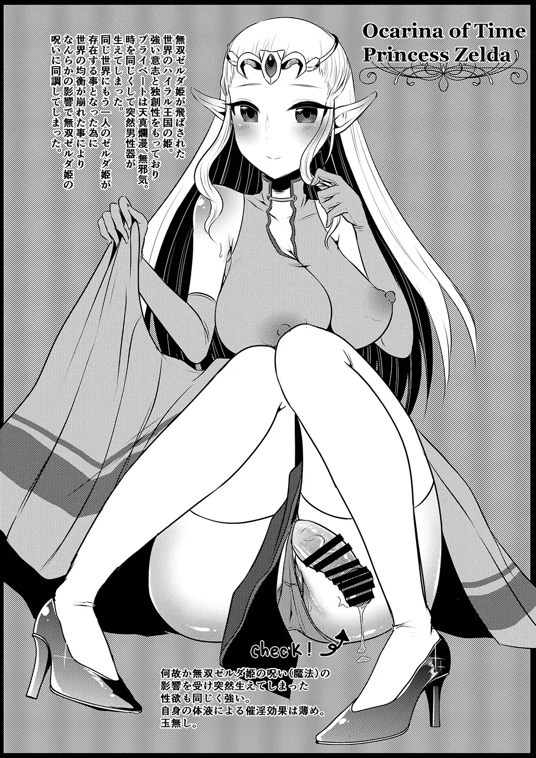 [Runrun] Futanari Zelda Soushuuhen Fhentai - Page 35