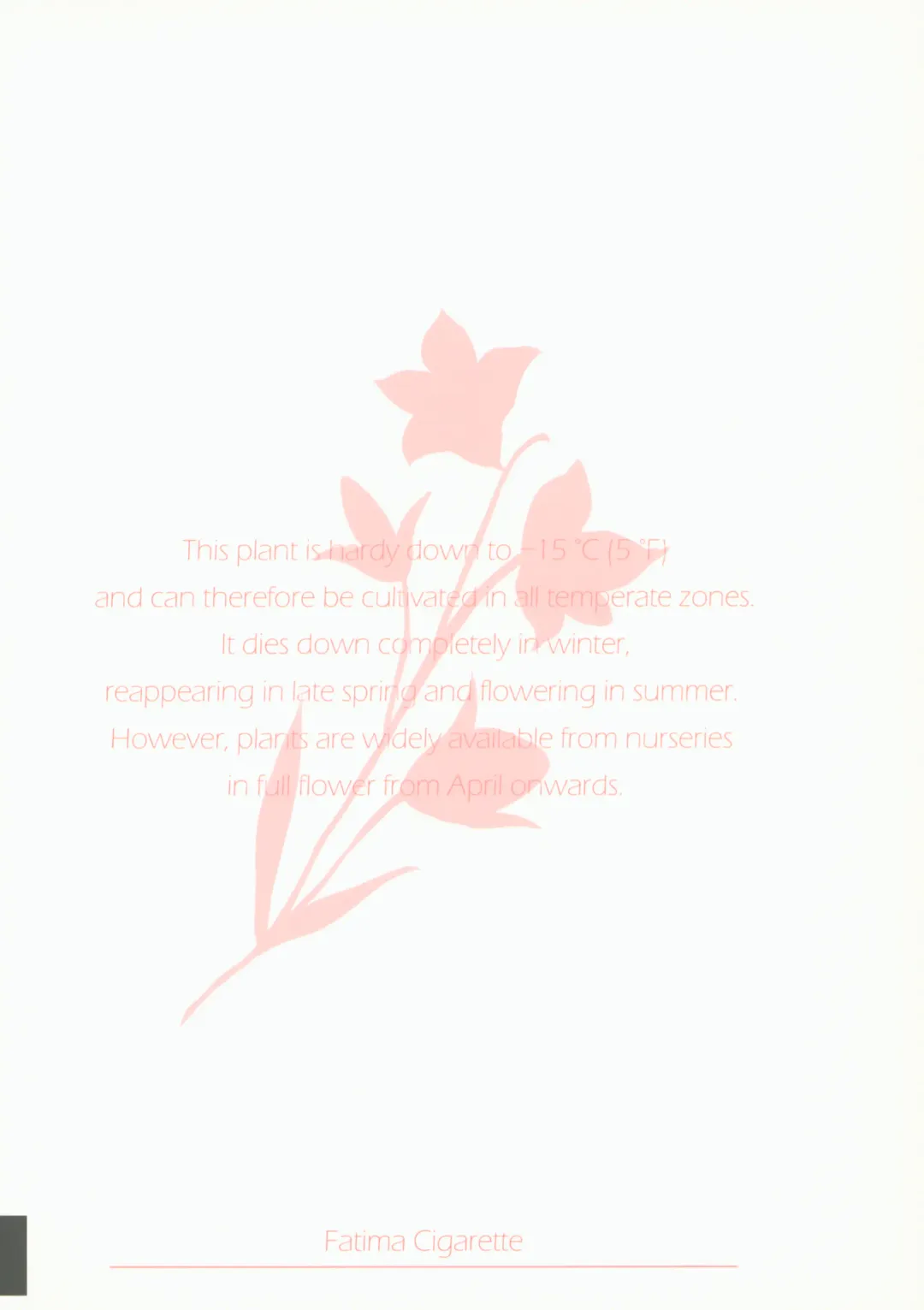 [Daki Makura] Onii-chan ga Genkinai kara SEX Shite Mita Fhentai - Page 26