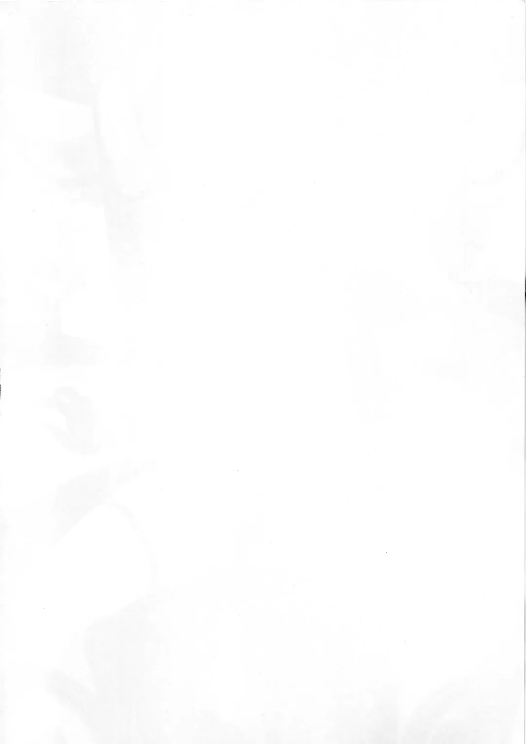 [Kageshio] Choukou Souki Hinoto Fhentai - Page 4