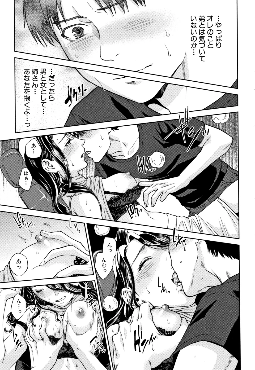 [Tohzai] Ane to Boku no Midarana Himitsu Fhentai - Page 46