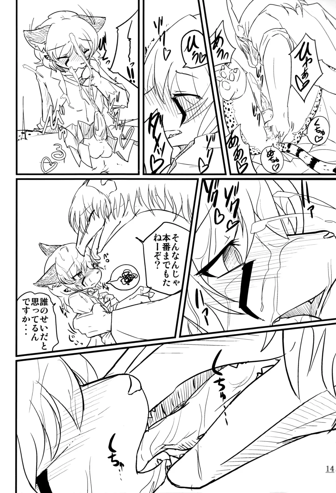 [Urekemo Lala] Cat & Dragon (decensored) Fhentai - Page 13