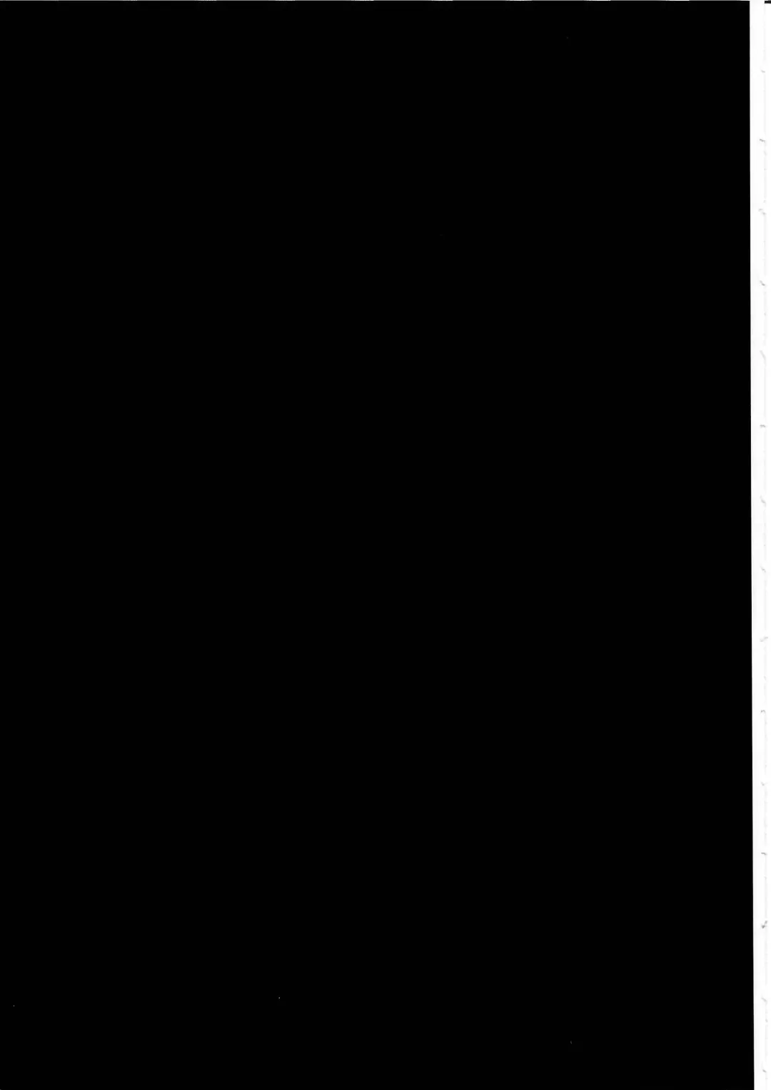 KTQ 4 Fhentai - Page 94