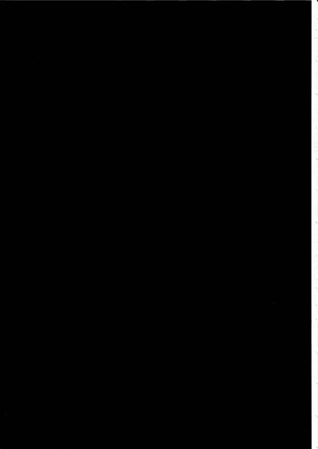 KTQ 6 Fhentai - Page 94