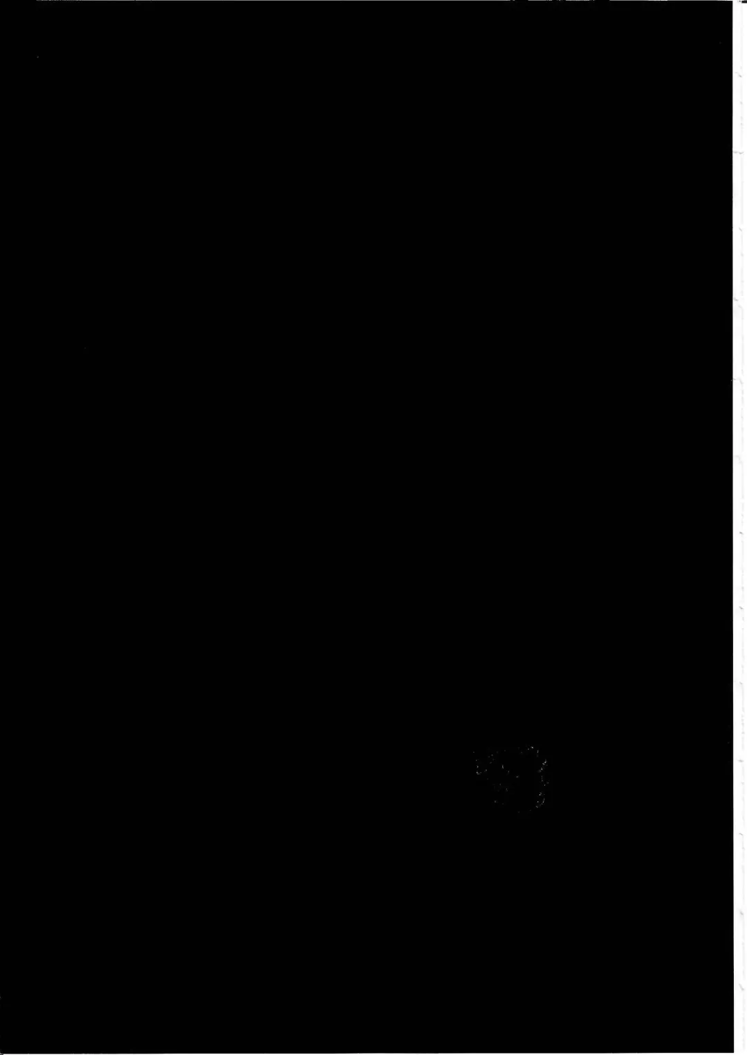 KTQ 11 Fhentai - Page 114