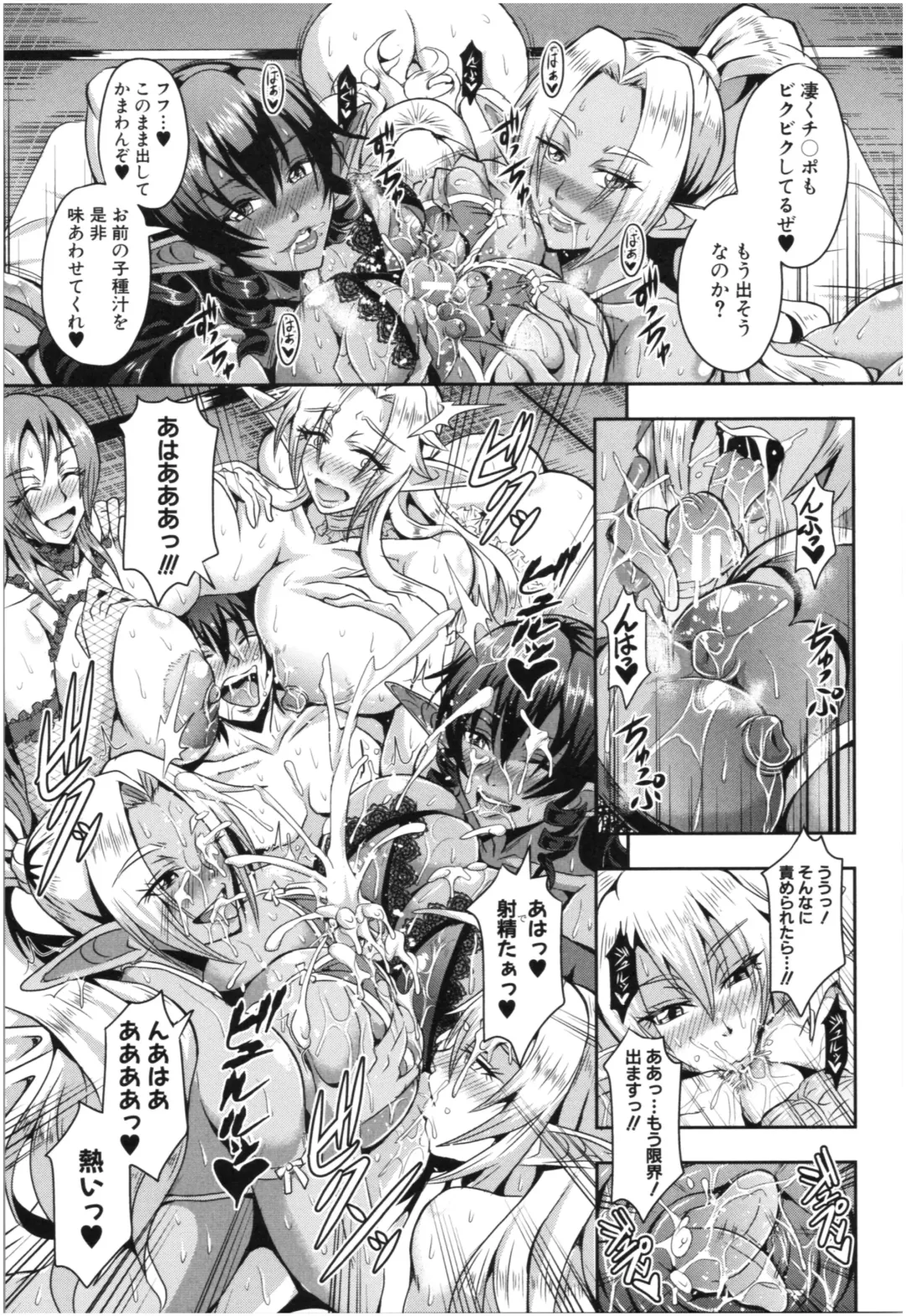 [Mifune Seijirou] Elf Harem Monogatari - Elf Harem Story Fhentai - Page 16
