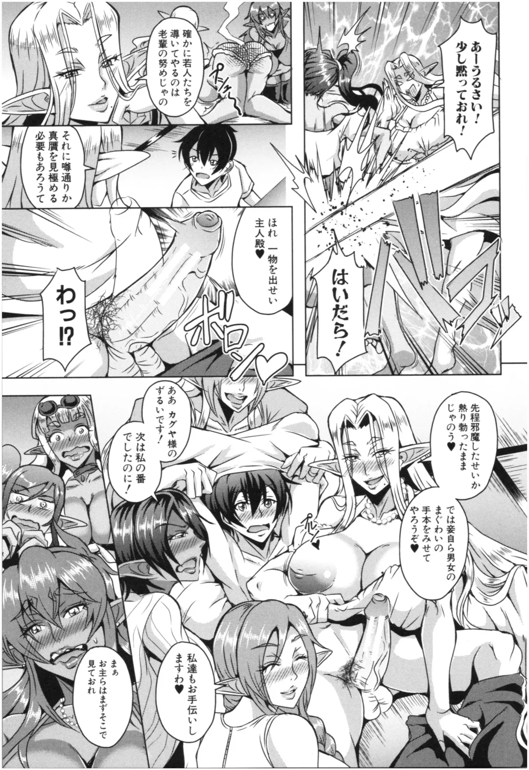 [Mifune Seijirou] Elf Harem Monogatari - Elf Harem Story Fhentai - Page 172
