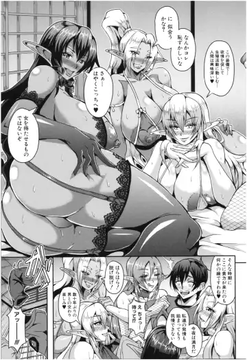 [Mifune Seijirou] Elf Harem Monogatari - Elf Harem Story Fhentai - Page 12