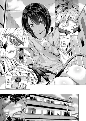 [Shibi] Succubus Company Fhentai - Page 3