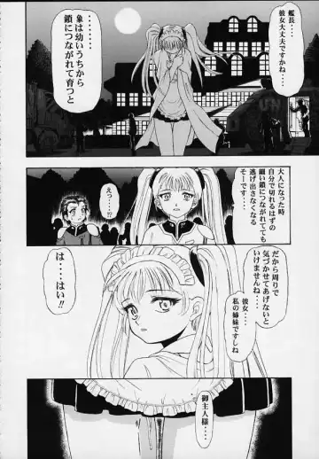 Vitamin-B5 1/4 Ruri Ruri Naisho no Maid Nikki Fhentai - Page 45