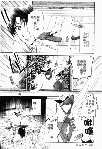 Pure Petit Vol. 21 Fhentai - Page 105