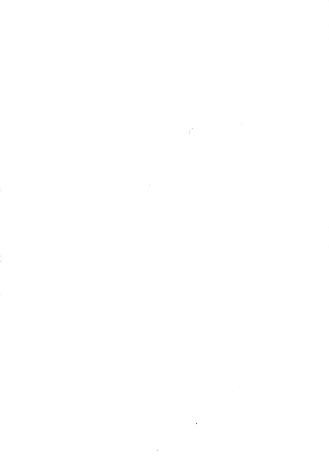 [Zawar] Saint Petersburg no Tenki wa Ikaga desu ka Fhentai - Page 3