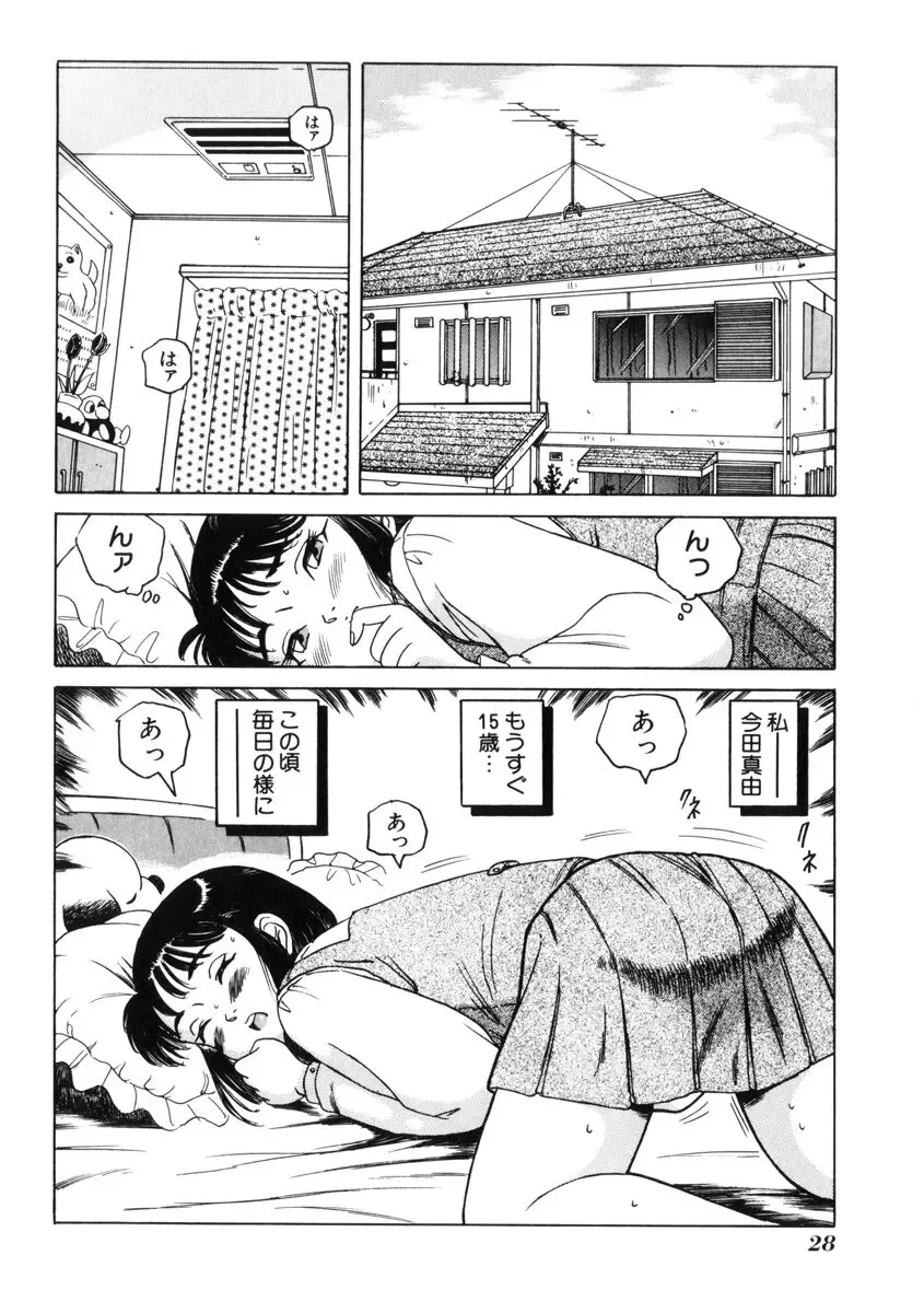 [Tamikusa Namida] Ame to Muchi Fhentai - Page 32