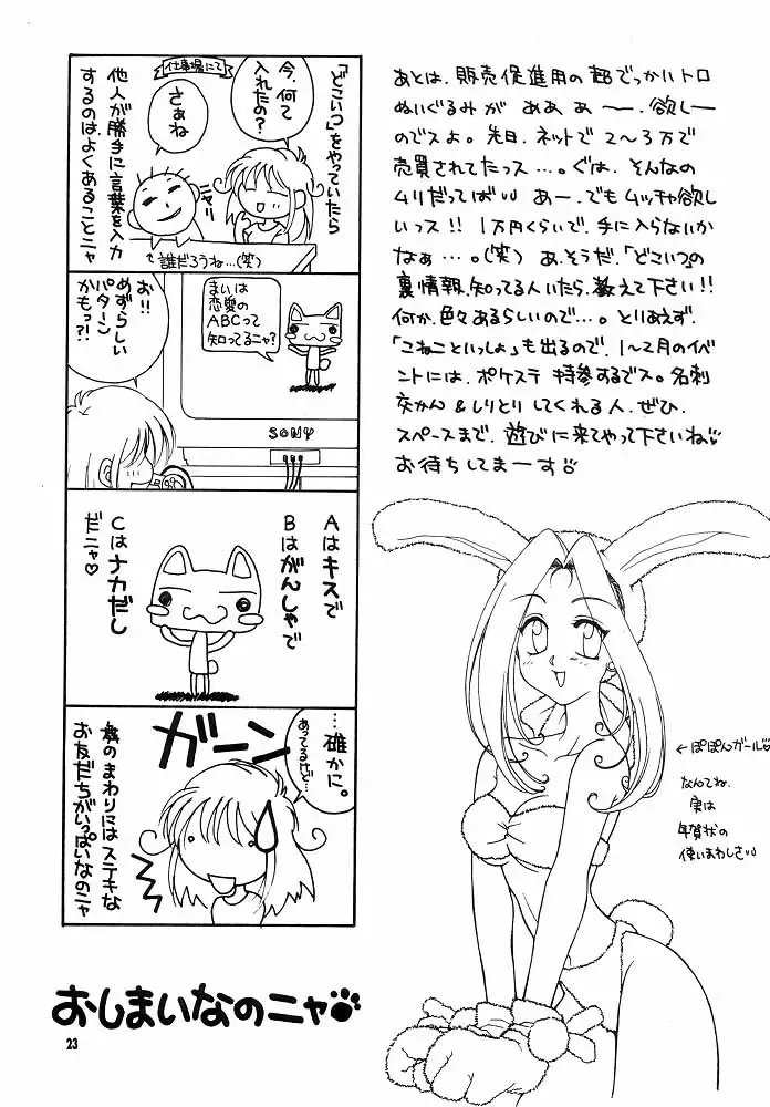 [Hyoujun Mai - Koto] DoA Fhentai - Page 22