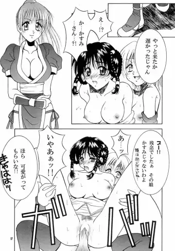 [Hyoujun Mai - Koto] DoA Fhentai - Page 16