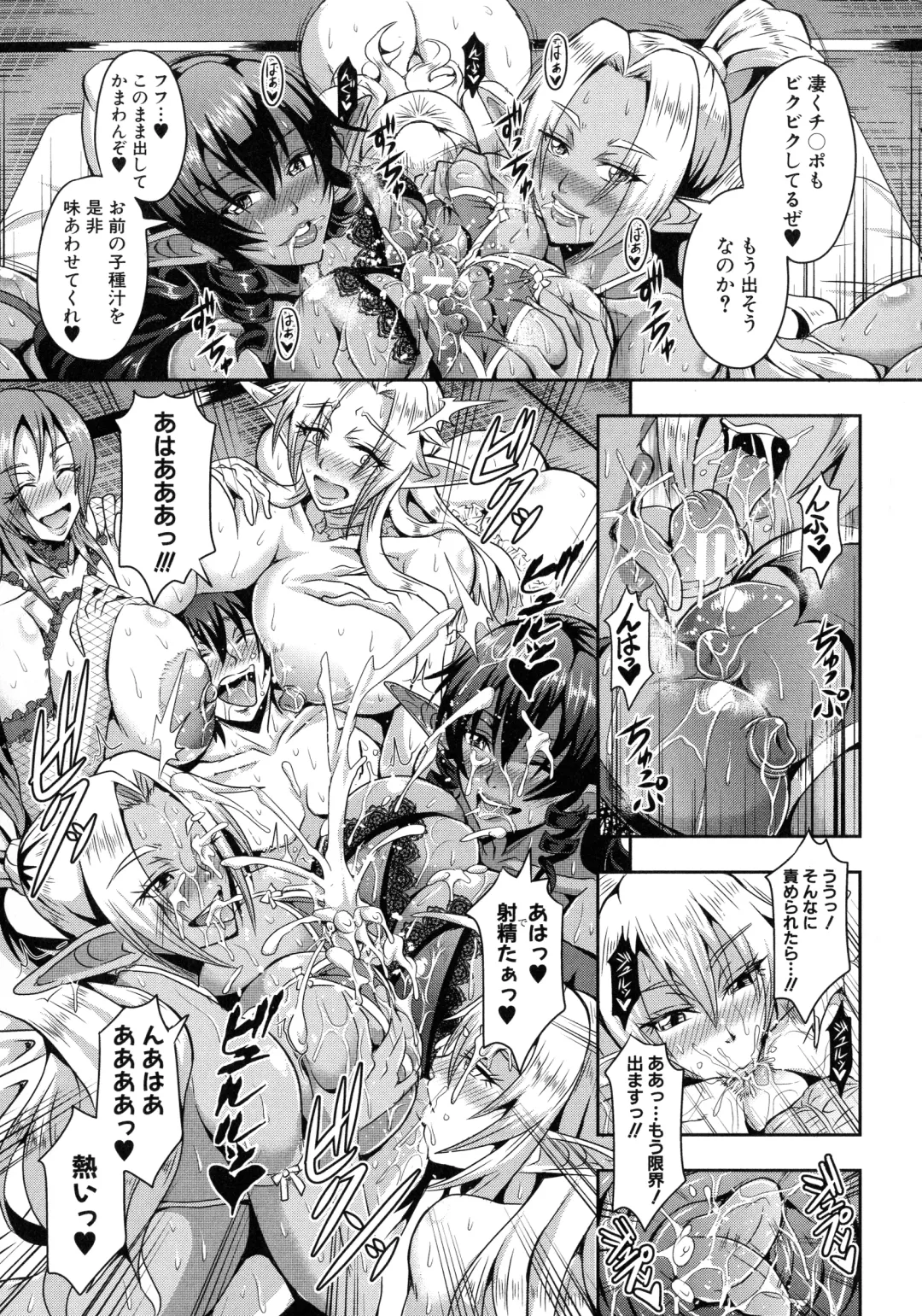 [Mifune Seijirou] Elf Harem Monogatari - Elf Harem Story Fhentai - Page 18