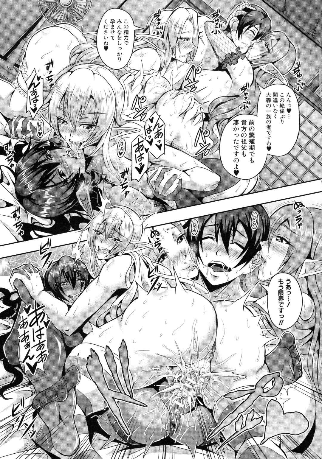 [Mifune Seijirou] Elf Harem Monogatari - Elf Harem Story Fhentai - Page 30