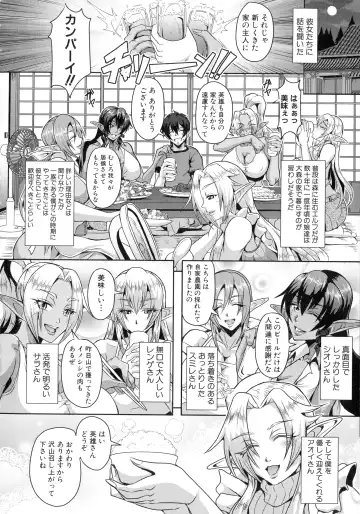 [Mifune Seijirou] Elf Harem Monogatari - Elf Harem Story Fhentai.net - Page 12