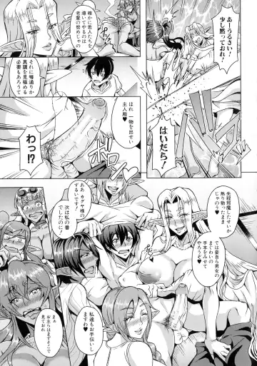 [Mifune Seijirou] Elf Harem Monogatari - Elf Harem Story Fhentai.net - Page 167