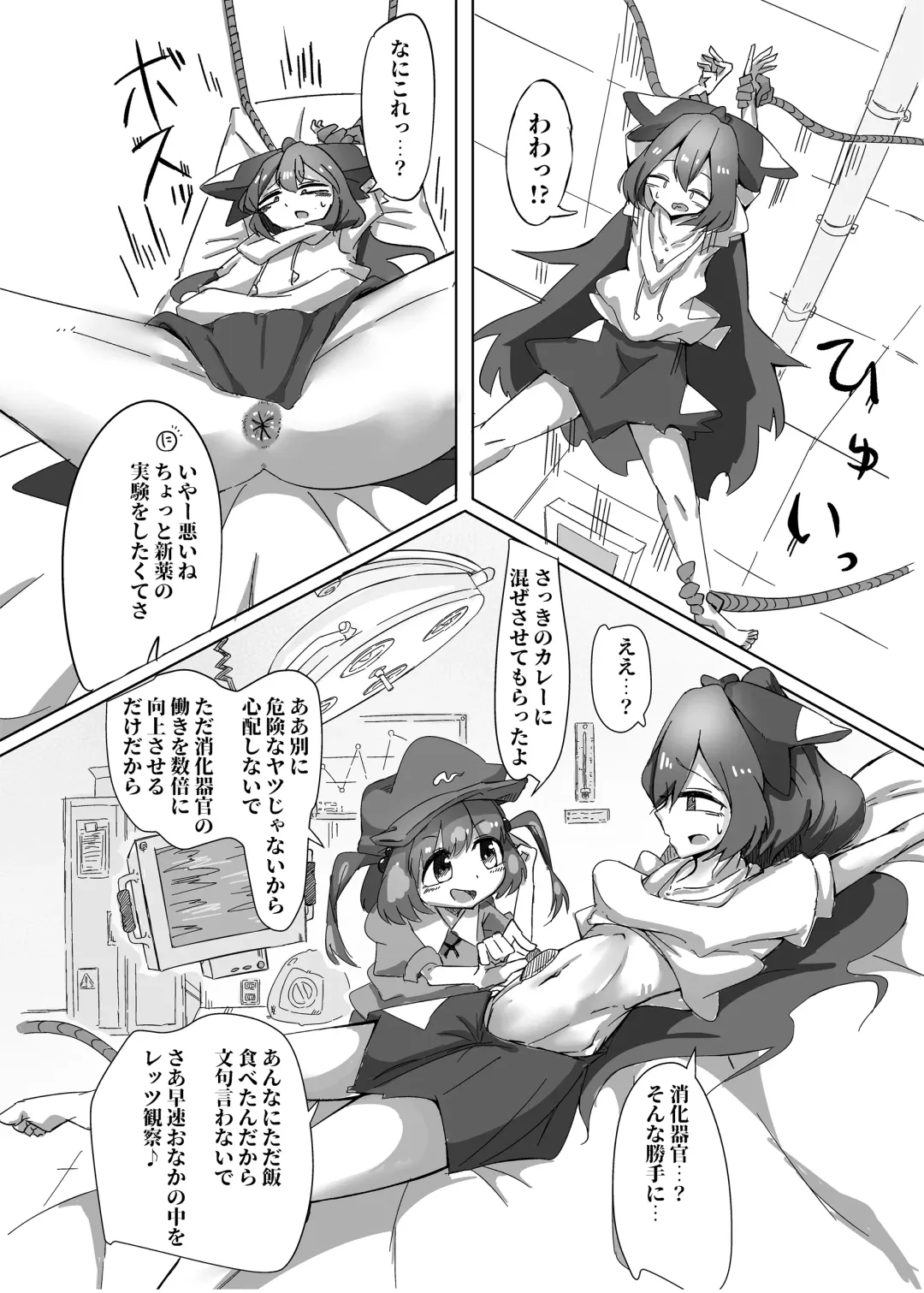 Touhou Scatology Goudoushi "Benjo!!!!!!!!" Fhentai - Page 9