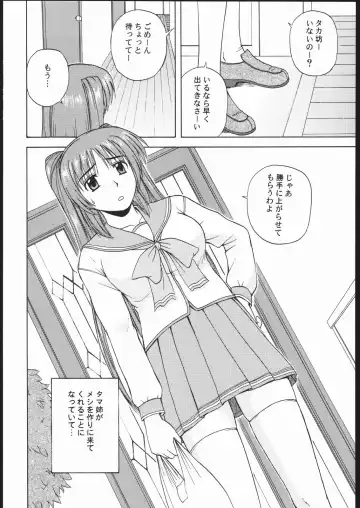 [Satou Chagashi] Tama-nee to Issho 2 Fhentai - Page 5