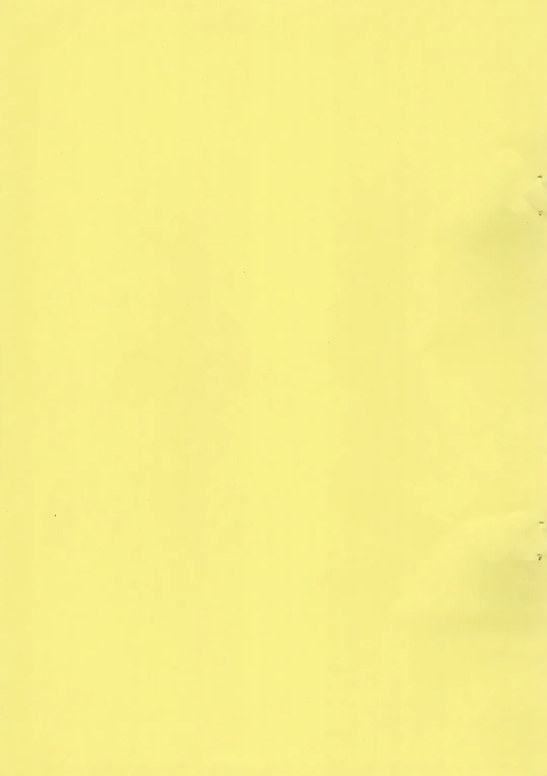 [Yoyoyoyou] Osanpo Biyori Fhentai - Page 3