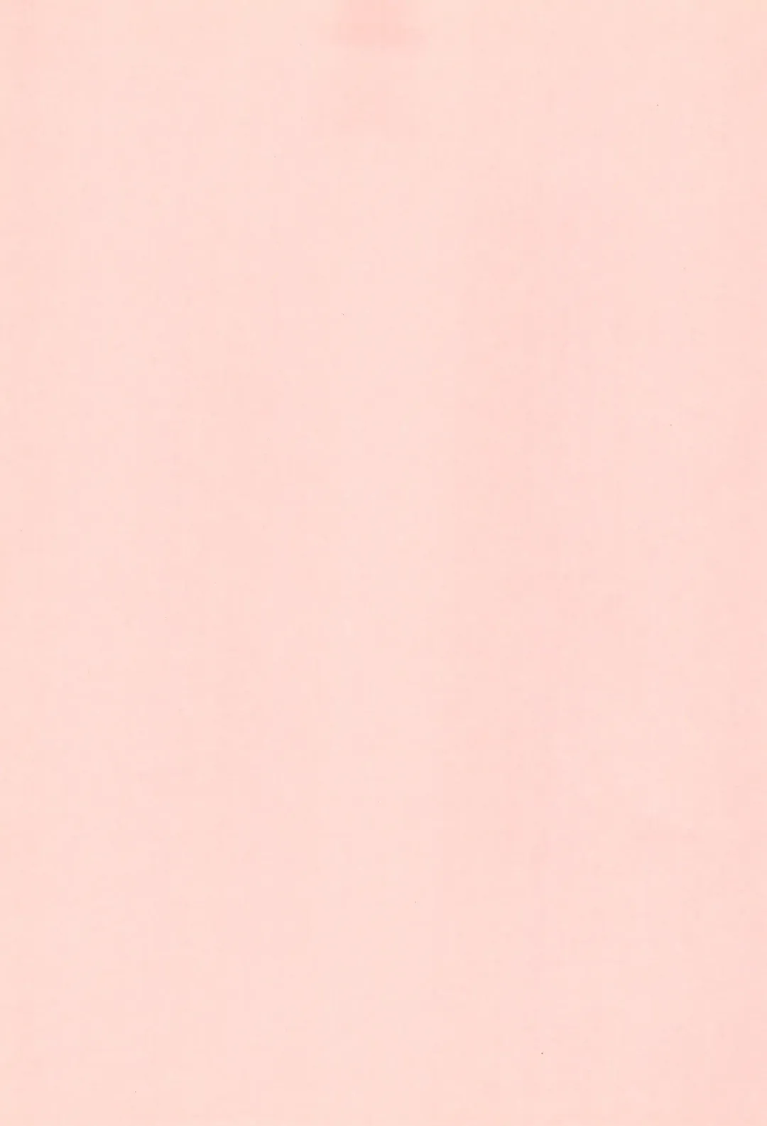 [Yoyoyoyou] B-gata Texture Fhentai - Page 3