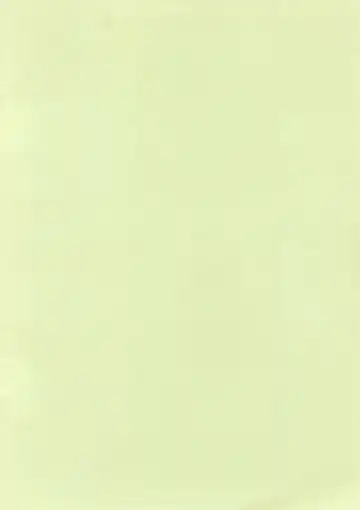 [Yoyoyoyou] Saigo no Menzaifu Fhentai - Page 2