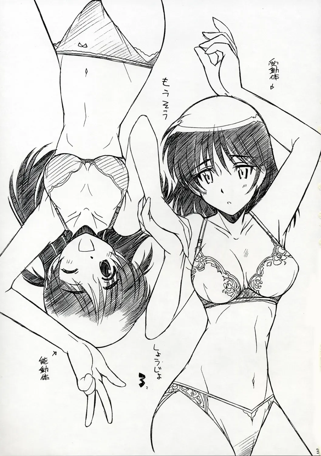 [Arai Kazuki] Mousou Shoujo Fhentai - Page 2