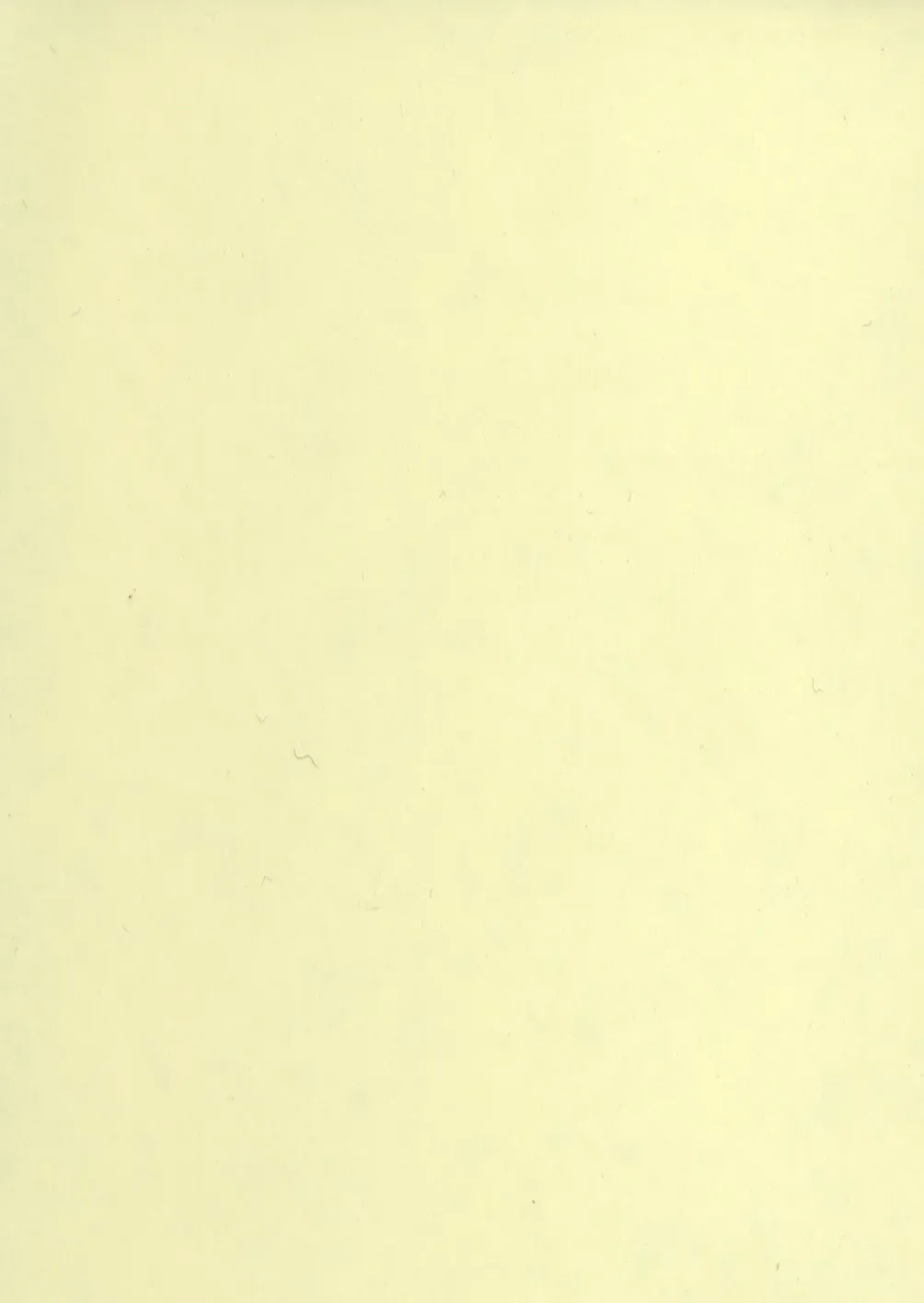 [Yaeda Nagumo] Puchin Punin Fhentai - Page 5