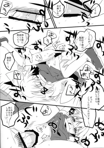 [Shigehira] Touhou Suinechou 2 Fhentai - Page 15