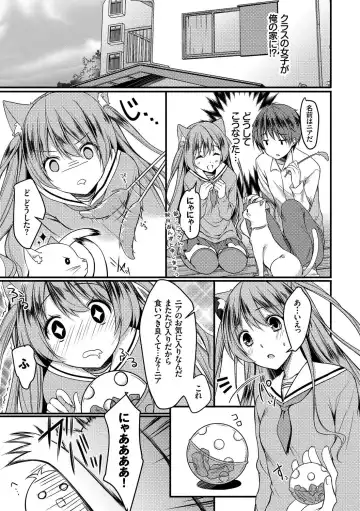 Nekomimi Musume wa Hatsujouki Fhentai - Page 69