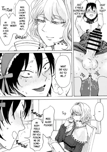 [Hasebe Souutsu] Alice no Ikiningyou | Alice's Living Doll Fhentai - Page 9