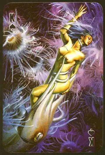 [Sorayama Hajime] Deck of Cards Fhentai - Page 10