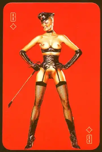 [Sorayama Hajime] Deck of Cards Fhentai - Page 17