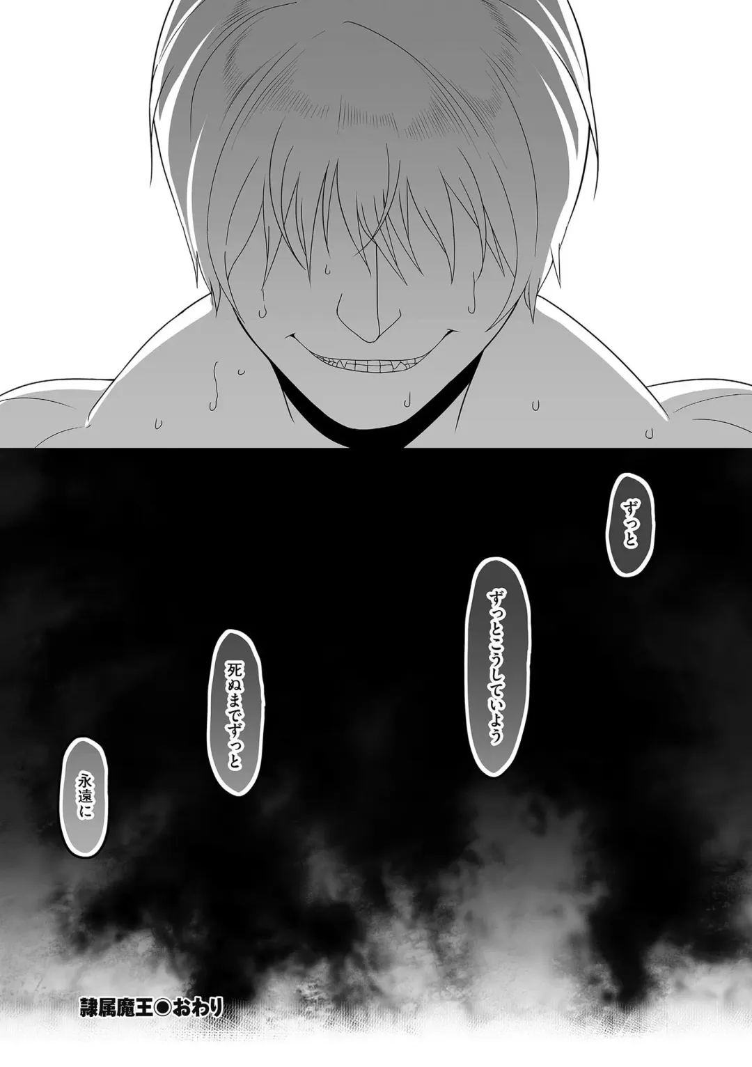 [Yamamoto Zenzen] Reizoku Maou Fhentai - Page 30