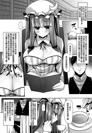 [Sakai Minato] Neteiru Patchouli ni wa Nani o Shite mo Yoi Fhentai.net - Page 4