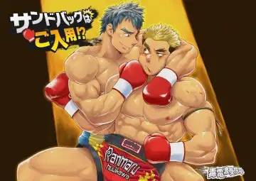 Read [Kobucha] Sandbag wa Go Nyuuyou!? - Fhentai