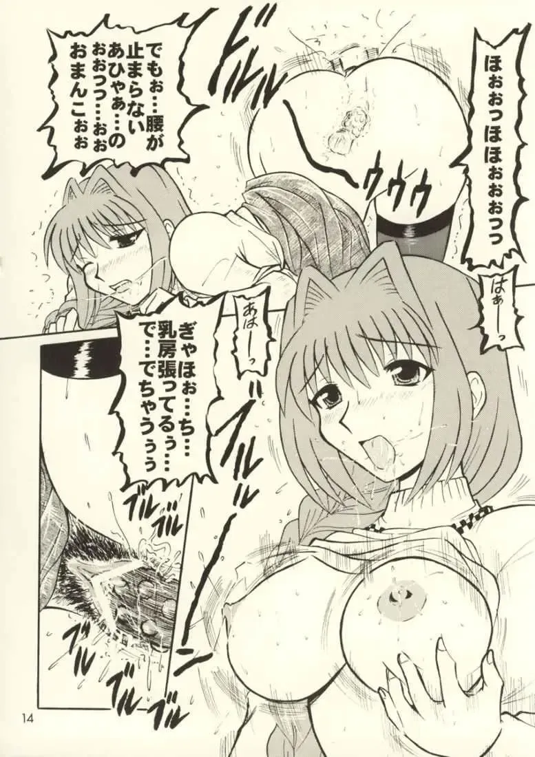 [Houou-tan] Hoshii no... Akiko-san Fhentai - Page 13