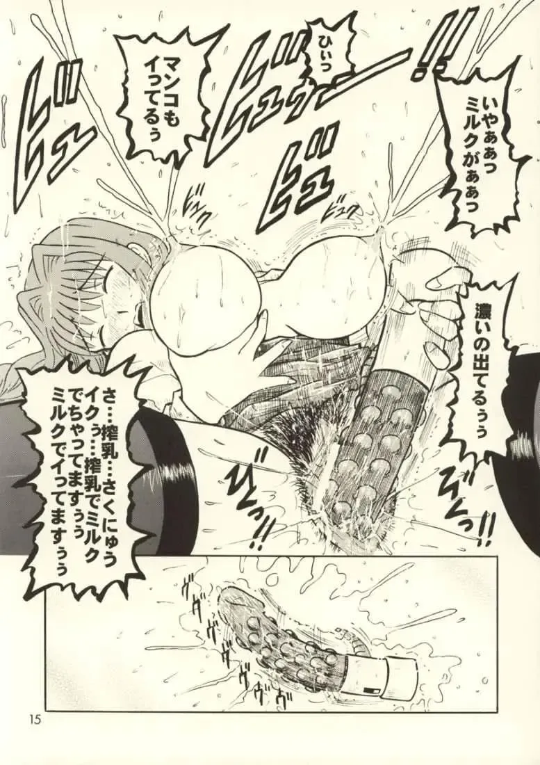 [Houou-tan] Hoshii no... Akiko-san Fhentai - Page 14