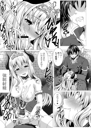 [Saionji Poruporu] Seidou Hero 1 Seiken no Yuusha da to Omottetara Seiken no Yuusha datta Ken ni Tsuite Fhentai - Page 15
