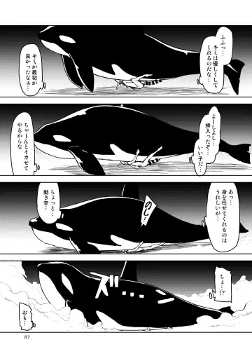 [Ryo] Dosukebe Elf no Ishukan Nikki Matome 2 Fhentai - Page 88