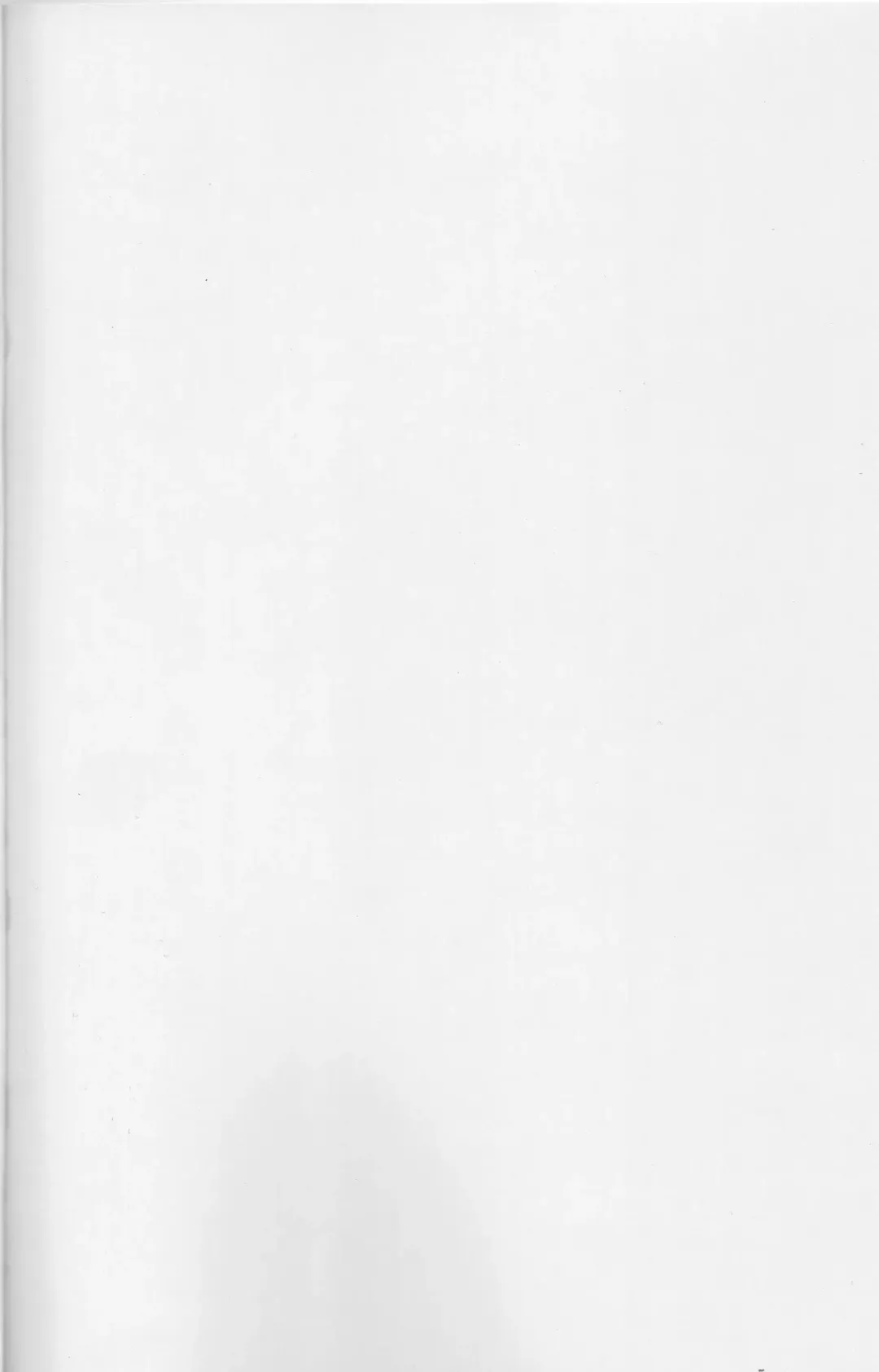 [Nafutan] A Day With A Half-Elf Fhentai - Page 25