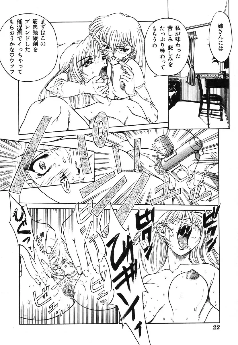 Shigyaku Shikou Fhentai - Page 25