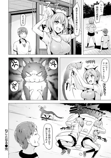 [Shiba Nanasei] Aigan Buffet - Petting Buffet Fhentai - Page 217